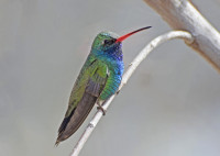 Jardín Botánico Vallarta